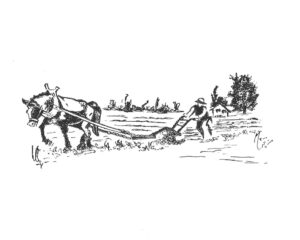 Farm-work