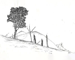 Tree-and-hillside