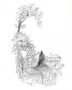 Tree-in-front-of-house