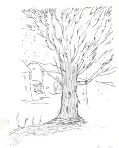 Tree-in-village
