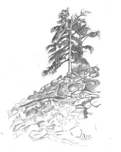 Tree-on-rockpile